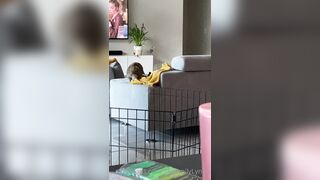 [281 of 485 VIds] Theemilylynne (Emily Lynne aka the.emilylynne) OnlyFans Leaks Nude