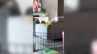 [281 of 485 VIds] Theemilylynne (Emily Lynne aka the.emilylynne) OnlyFans Leaks Nude