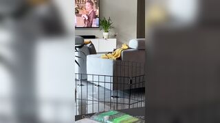 [281 of 485 VIds] Theemilylynne (Emily Lynne aka the.emilylynne) OnlyFans Leaks Nude