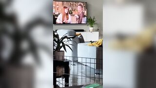 [281 of 485 VIds] Theemilylynne (Emily Lynne aka the.emilylynne) OnlyFans Leaks Nude