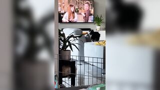 [281 of 485 VIds] Theemilylynne (Emily Lynne aka the.emilylynne) OnlyFans Leaks Nude