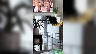 [281 of 485 VIds] Theemilylynne (Emily Lynne aka the.emilylynne) OnlyFans Leaks Nude