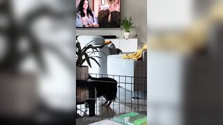 [281 of 485 VIds] Theemilylynne (Emily Lynne aka the.emilylynne) OnlyFans Leaks Nude