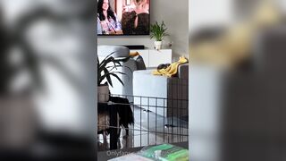 [281 of 485 VIds] Theemilylynne (Emily Lynne aka the.emilylynne) OnlyFans Leaks Nude