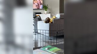 [281 of 485 VIds] Theemilylynne (Emily Lynne aka the.emilylynne) OnlyFans Leaks Nude