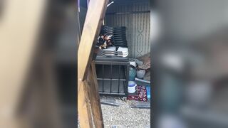 [29 of 485 VIds] Theemilylynne (Emily Lynne aka the.emilylynne) OnlyFans Leaks Nude