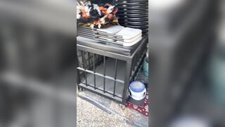 [29 of 485 VIds] Theemilylynne (Emily Lynne aka the.emilylynne) OnlyFans Leaks Nude