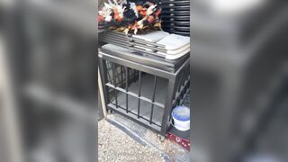 [29 of 485 VIds] Theemilylynne (Emily Lynne aka the.emilylynne) OnlyFans Leaks Nude