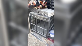 [29 of 485 VIds] Theemilylynne (Emily Lynne aka the.emilylynne) OnlyFans Leaks Nude