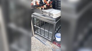 [29 of 485 VIds] Theemilylynne (Emily Lynne aka the.emilylynne) OnlyFans Leaks Nude