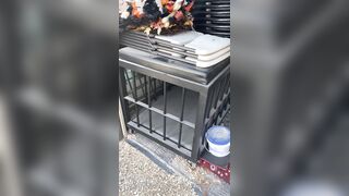 [29 of 485 VIds] Theemilylynne (Emily Lynne aka the.emilylynne) OnlyFans Leaks Nude