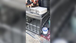 [29 of 485 VIds] Theemilylynne (Emily Lynne aka the.emilylynne) OnlyFans Leaks Nude