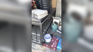 [29 of 485 VIds] Theemilylynne (Emily Lynne aka the.emilylynne) OnlyFans Leaks Nude