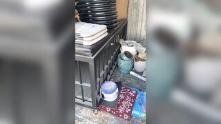 [29 of 485 VIds] Theemilylynne (Emily Lynne aka the.emilylynne) OnlyFans Leaks Nude