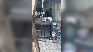 [29 of 485 VIds] Theemilylynne (Emily Lynne aka the.emilylynne) OnlyFans Leaks Nude