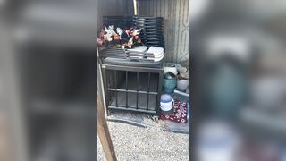 [29 of 485 VIds] Theemilylynne (Emily Lynne aka the.emilylynne) OnlyFans Leaks Nude