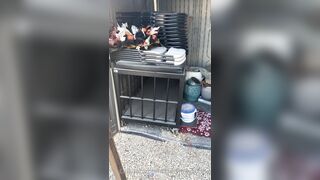 [29 of 485 VIds] Theemilylynne (Emily Lynne aka the.emilylynne) OnlyFans Leaks Nude