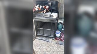 [29 of 485 VIds] Theemilylynne (Emily Lynne aka the.emilylynne) OnlyFans Leaks Nude