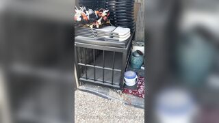 [29 of 485 VIds] Theemilylynne (Emily Lynne aka the.emilylynne) OnlyFans Leaks Nude