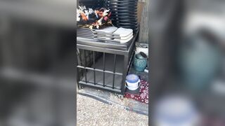 [29 of 485 VIds] Theemilylynne (Emily Lynne aka the.emilylynne) OnlyFans Leaks Nude