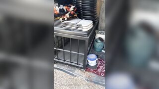 [29 of 485 VIds] Theemilylynne (Emily Lynne aka the.emilylynne) OnlyFans Leaks Nude