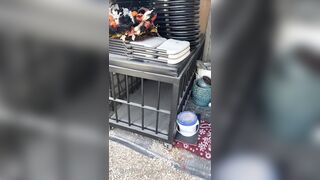 [29 of 485 VIds] Theemilylynne (Emily Lynne aka the.emilylynne) OnlyFans Leaks Nude