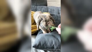 [42 of 485 VIds] Theemilylynne (Emily Lynne aka the.emilylynne) OnlyFans Leaks Nude