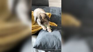 [42 of 485 VIds] Theemilylynne (Emily Lynne aka the.emilylynne) OnlyFans Leaks Nude