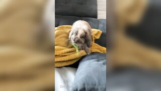 [42 of 485 VIds] Theemilylynne (Emily Lynne aka the.emilylynne) OnlyFans Leaks Nude