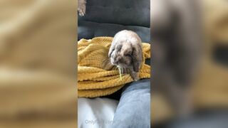 [42 of 485 VIds] Theemilylynne (Emily Lynne aka the.emilylynne) OnlyFans Leaks Nude