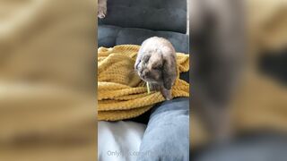 [42 of 485 VIds] Theemilylynne (Emily Lynne aka the.emilylynne) OnlyFans Leaks Nude