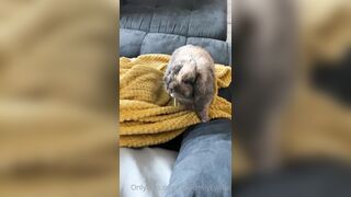 [42 of 485 VIds] Theemilylynne (Emily Lynne aka the.emilylynne) OnlyFans Leaks Nude