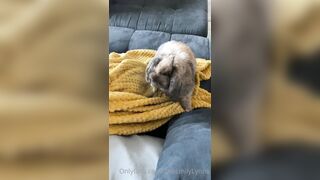 [42 of 485 VIds] Theemilylynne (Emily Lynne aka the.emilylynne) OnlyFans Leaks Nude