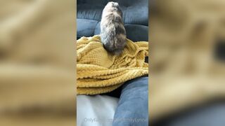 [42 of 485 VIds] Theemilylynne (Emily Lynne aka the.emilylynne) OnlyFans Leaks Nude