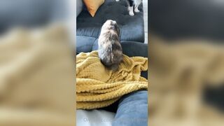 [42 of 485 VIds] Theemilylynne (Emily Lynne aka the.emilylynne) OnlyFans Leaks Nude