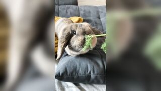 [42 of 485 VIds] Theemilylynne (Emily Lynne aka the.emilylynne) OnlyFans Leaks Nude