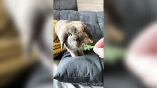 [42 of 485 VIds] Theemilylynne (Emily Lynne aka the.emilylynne) OnlyFans Leaks Nude