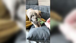 [42 of 485 VIds] Theemilylynne (Emily Lynne aka the.emilylynne) OnlyFans Leaks Nude