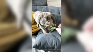 [42 of 485 VIds] Theemilylynne (Emily Lynne aka the.emilylynne) OnlyFans Leaks Nude