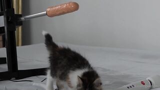 [119 of 154 Vids] Gwengwiz (gwengwiz3 aka Gwen Wiz) OnlyFans Leaks Nude Farm GIrl