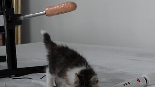 [93 of 154 Vids] Gwengwiz (gwengwiz3 aka Gwen Wiz) OnlyFans Leaks Nude Farm GIrl