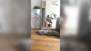 [105 of 224 Vids] Asaakira (Asa Akira aka asaakira2) OnlyFans Leaks Nudes Asian Chinese