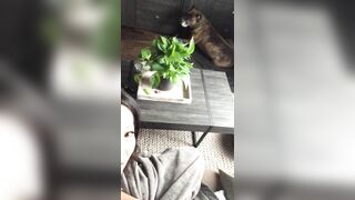 [158 of 224 Vids] Asaakira (Asa Akira aka asaakira2) OnlyFans Leaks Nudes Asian Chinese