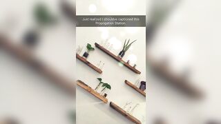 [177 of 224 Vids] Asaakira (Asa Akira aka asaakira2) OnlyFans Leaks Nudes Asian Chinese