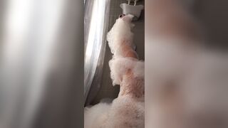 [5 of 607 Vids] Akadanidaniels (Dani Daniels) OnlyFans Leaks Nude Danisthings