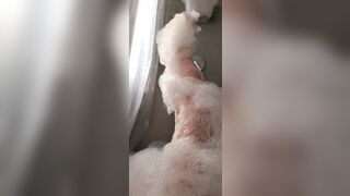 [5 of 607 Vids] Akadanidaniels (Dani Daniels) OnlyFans Leaks Nude Danisthings