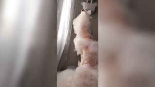 [5 of 607 Vids] Akadanidaniels (Dani Daniels) OnlyFans Leaks Nude Danisthings