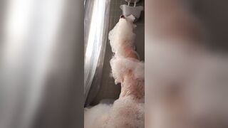 [5 of 607 Vids] Akadanidaniels (Dani Daniels) OnlyFans Leaks Nude Danisthings