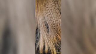 [568 of 607 Vids] Akadanidaniels (Dani Daniels) OnlyFans Leaks Nude Danisthings