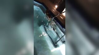 [123 of 188 Vids] Xnicoleanistonx (Nicole Aniston aka realnicoleaniston) OnlyFans Leaks Nude